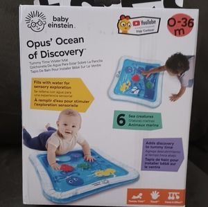 Baby Einstein Tummy Time mat
